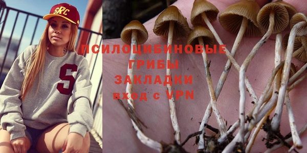 ALPHA PVP Шарыпово