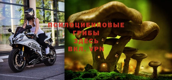 a pvp Осташков