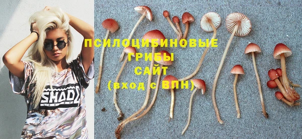 таблы Карпинск